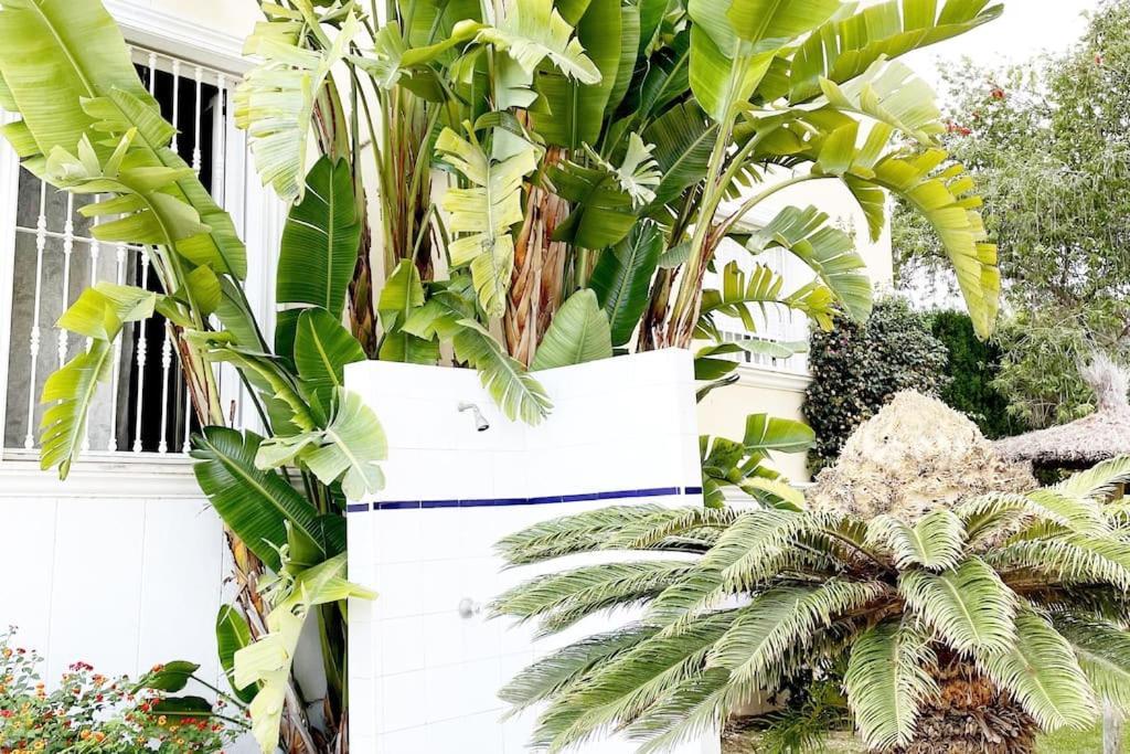 Beach Penthouse Apartment Xabia Bagian luar foto
